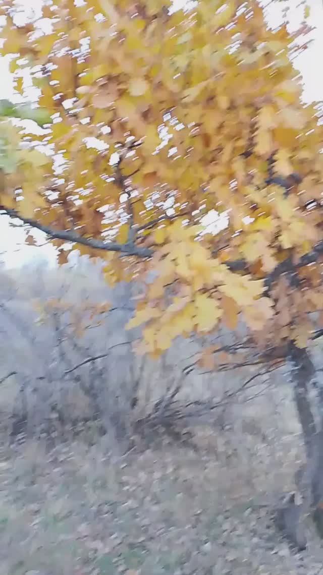 очаровашка октябрь