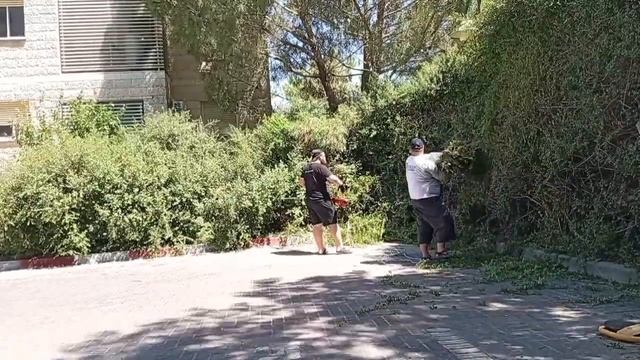 Из Беэр Шевы прямо в Джунгли !