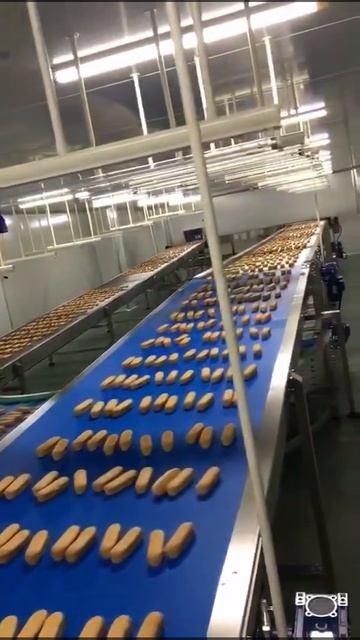 Спиральный морозильный аппарат охладитель лента из углеродистой стали лента для хлебопекарной печ