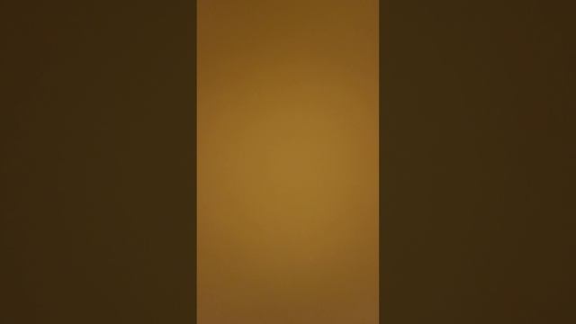 1000002505.mp4