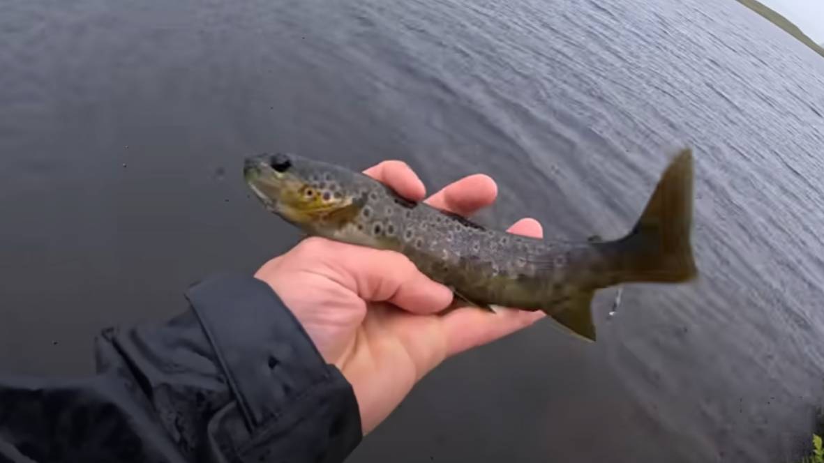 Одиночный поход к отдалённому горному озеру | Ловля и приготовление дикой форели