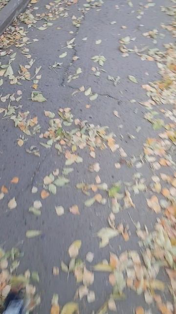 Осень.