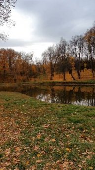 тихая радость 🍂