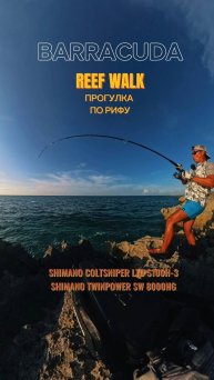 Барракуда с рифа