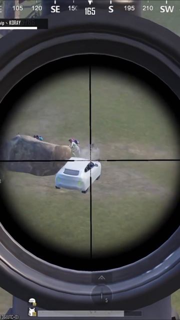 Красиво получилось. PUBG MOBAIL. 15-10-2025