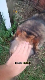 вы мне нравитесь, но я предвижу