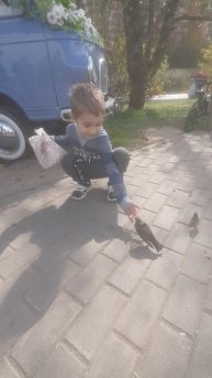 А вы кормили скворца с руки?🙂