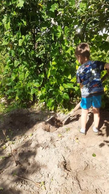 Я очень старался😃