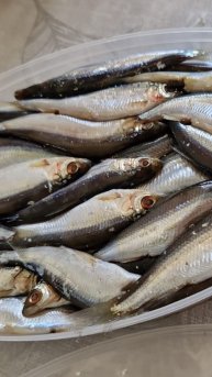 Тугунок с молодой картошкой. Маленькая рыбка, доставляющая большое удовольствие. #тугунок #shorts