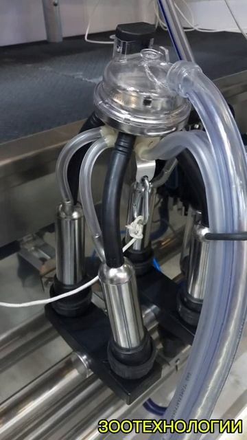 Доильное оборудование