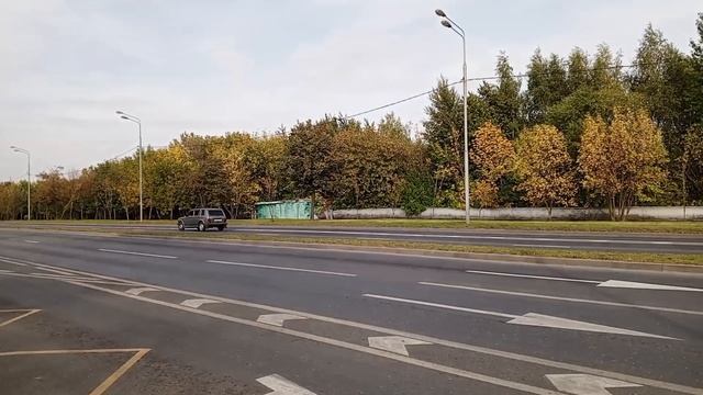 Цветы, осень, Москва