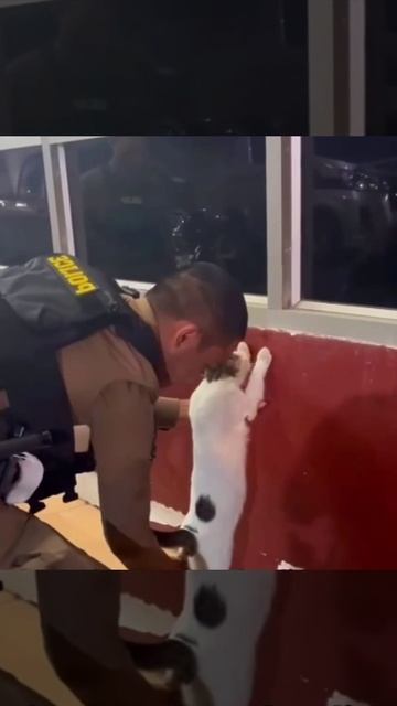 -2189563461851806731