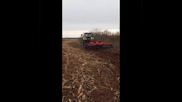 БДТ-3.8 ПР работает по кукурузе с трактором Zoomlion. Октябрь 2024. Свердловская область