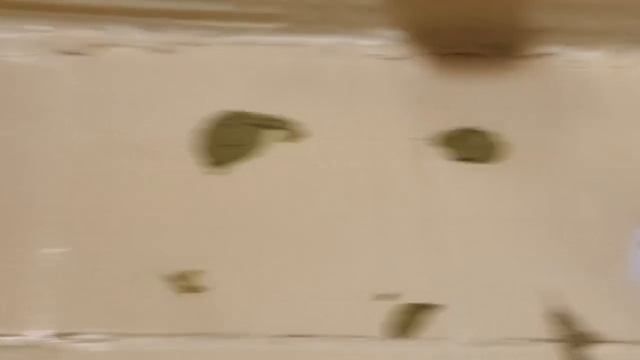 Очистка стен