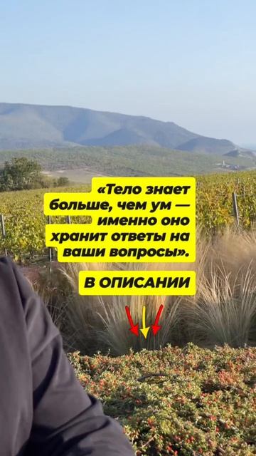 Видео от Лютый Блогер [ Разблокировка Проявленности ]