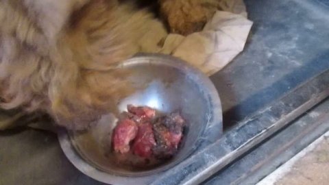 14 Октября в деревне-2025