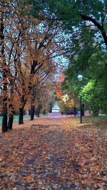 Осень пришла