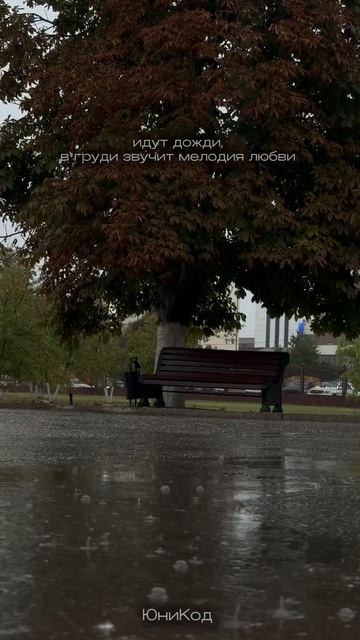 Прогулка под дождем или кино за чашкой горячего кофе?☕️