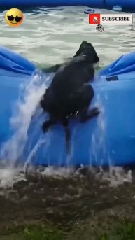 3,14ЗДЕЦ Как Больно И Не Смешно 🤷🤯😂