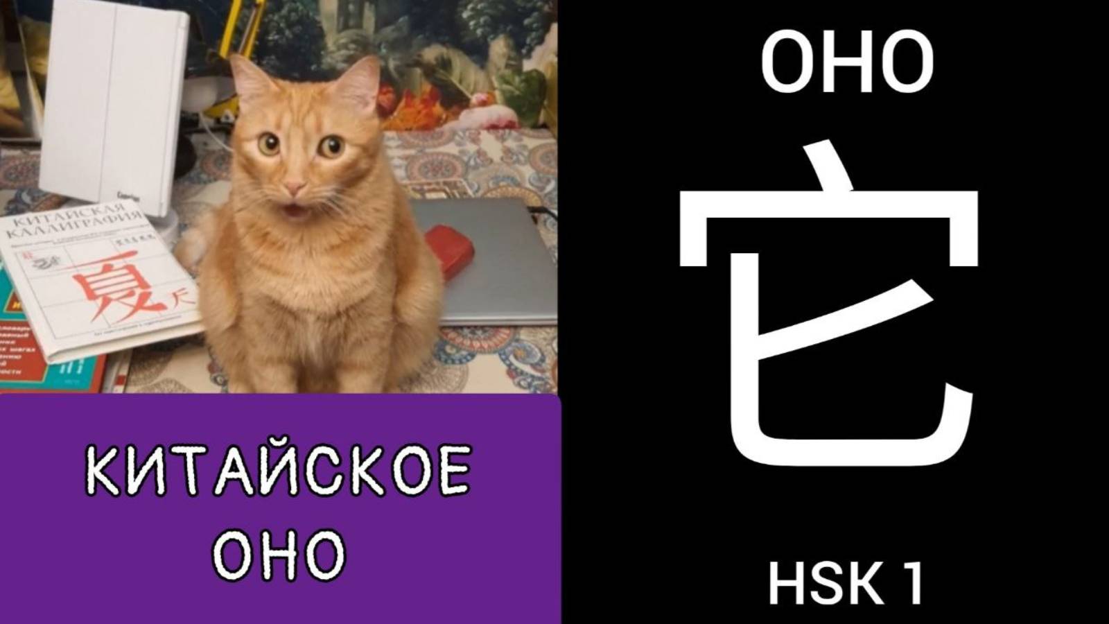 КИТАЙСКОЕ ОНО. ИЕРОГЛИФ 它 tā ОНО. МНЕМОНИКА КИТАЙСКИЙ ЯЗЫК.