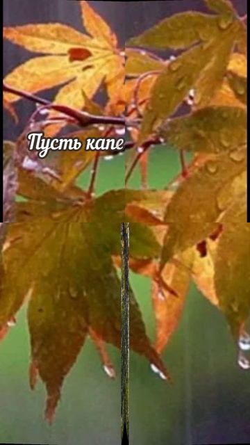 С добрым осенним утром!#доброеутро#осень#shorts
