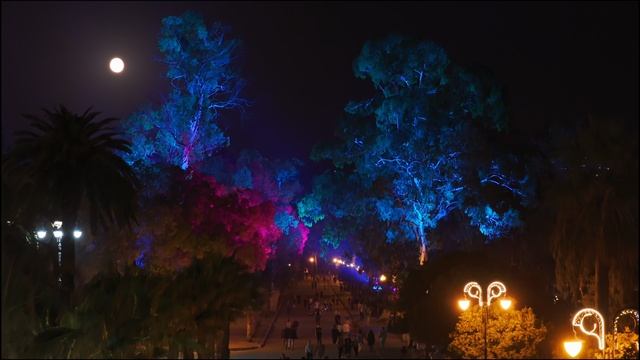 Прогулка под луной