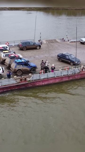 Кругом тайга