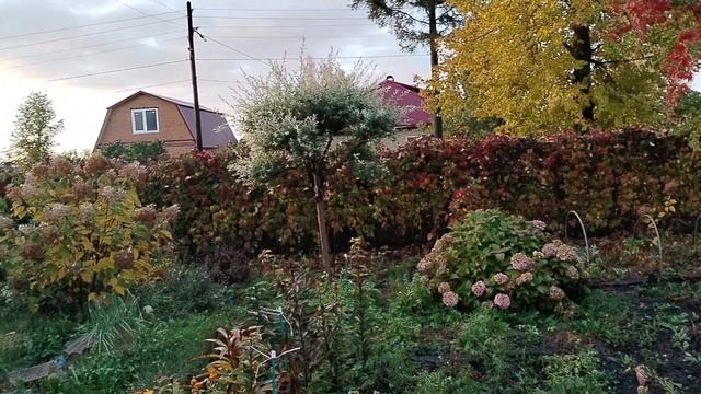 Осенняя красота.Небо пополам.