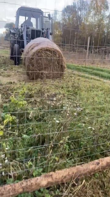 Ферма Три Барана