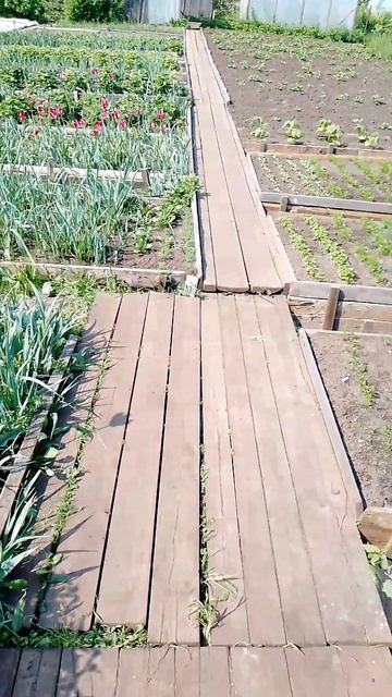 летом на даче😊😊😊