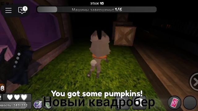 хвхыхыыхыхы