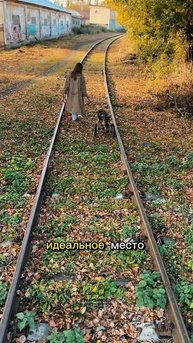 Идеальное время - сейчас!