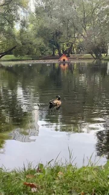 прекрасная Москва