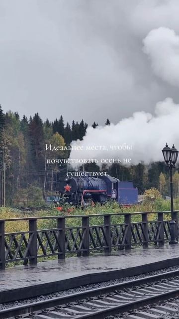 ТГ: Дневник Мафиози