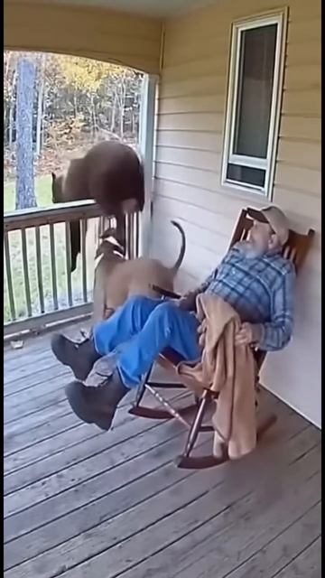 Пёс спас своего хозяина !