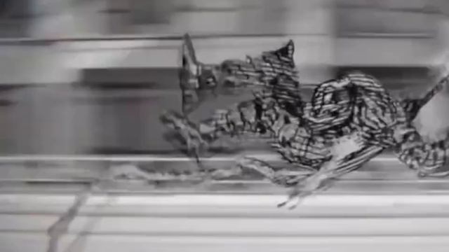 Манго/аниме  Человек  бензопила  Макима 👉💨🌀☠️🥶🥶