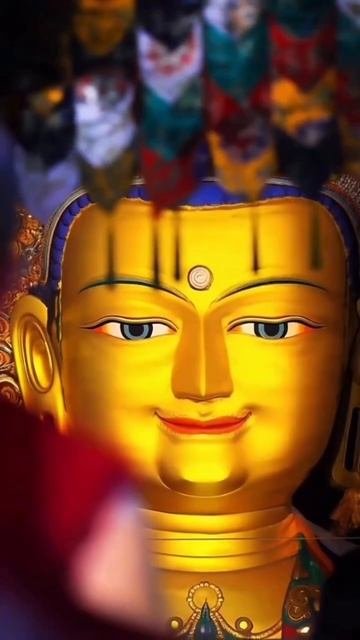 Подобрать тур: https://t.me/Travel_Retreat_Bot?start=107734