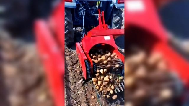 Картофелекопалка ККО-500 короткая — быстрый и удобный сбор урожая на любом участке!