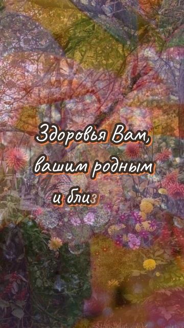 С добрым утром!# доброеутро#осень#shorts