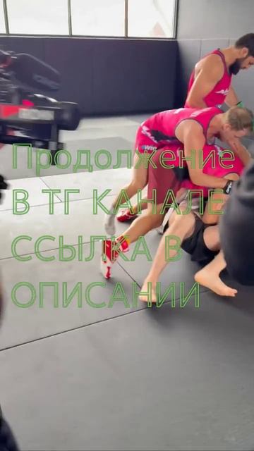 ПОТАСОВКА НА ALF REALITY 2