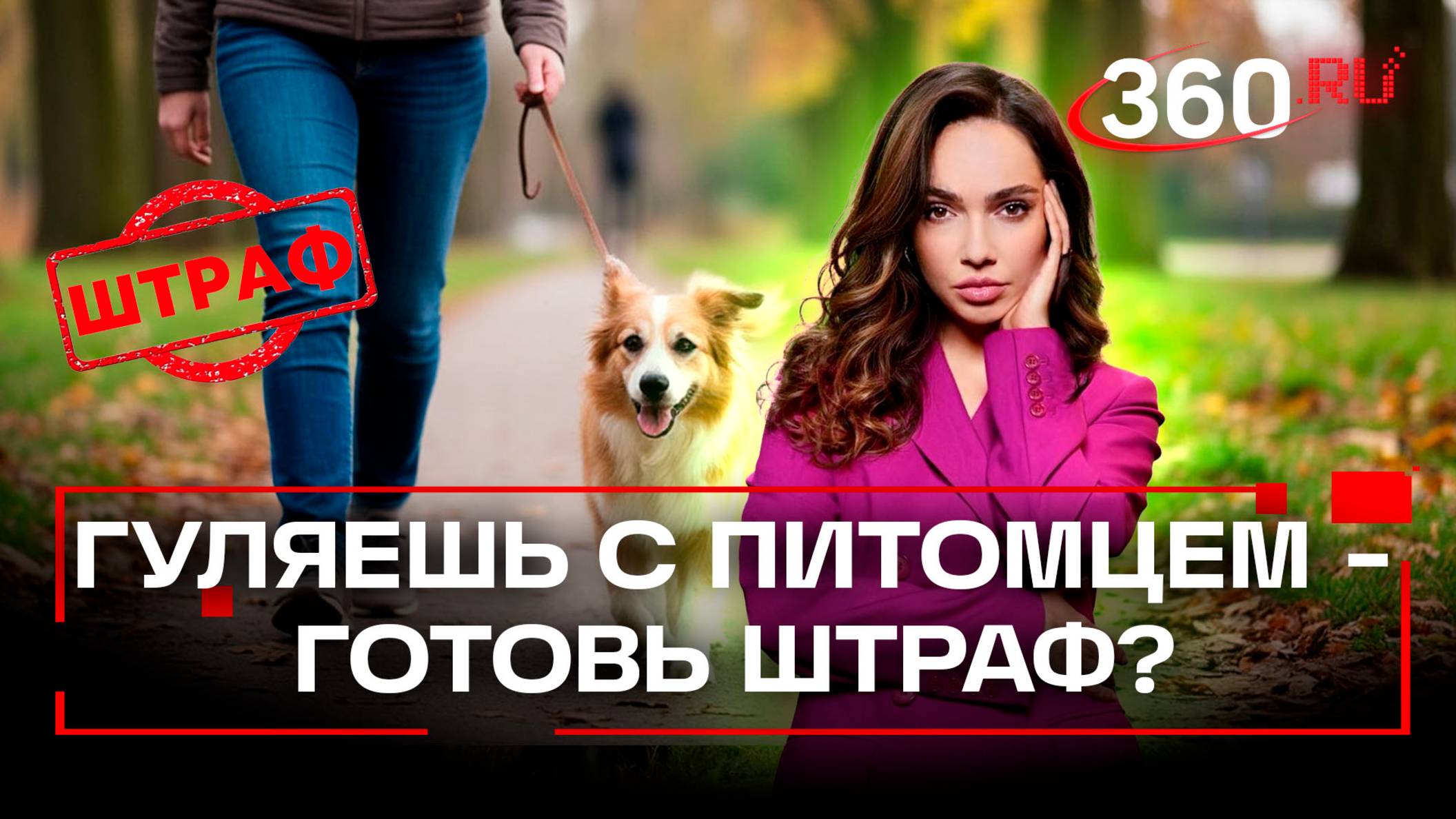 Прогулки с питомцем могут обернуться серьезным штрафом - решение за Госдумой