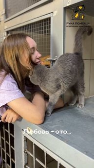 Любовь - это …