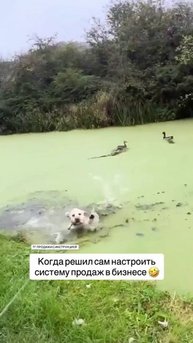 Узнай, как увеличить прибыль в своём бизнесе, пиши в личку 77