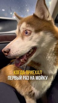 Первый раз всегда комом 😳