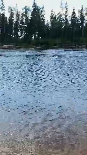 Что нужно детям.