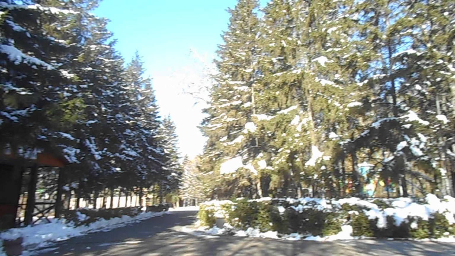 ПОЕЗДКА К ДОКТОРУ ШЕРЕМЕТУ.ПРОГУЛКА ПО ПАРКУ