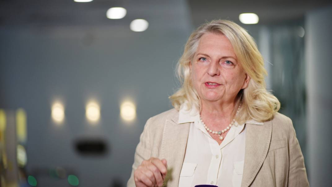 Экс-глава МИД Австрии Кнайсль: у ЕС никогда не было энергетической политики