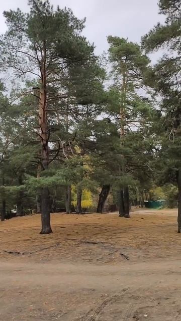 Лысая гора таинственное место, выхода древней исполинской энергии. #Солотча #Гора