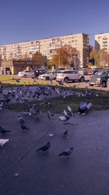 Обычный поход в магазин с трехлеткой.