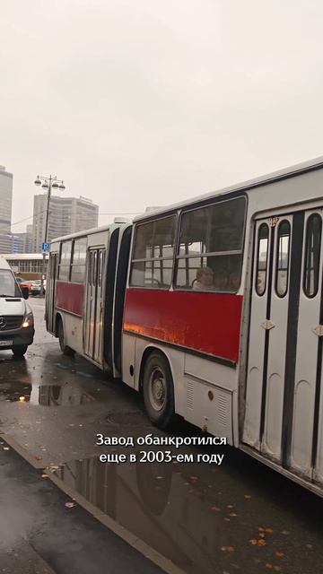 Вспоминаем памятное событие!
Спасибо МосРетроТранс за украшенный Икарус и заботу!
А вы бы отметили